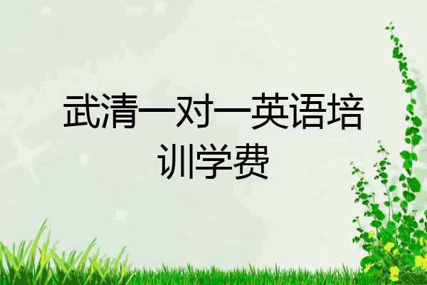 武清一对一英语培训学费
