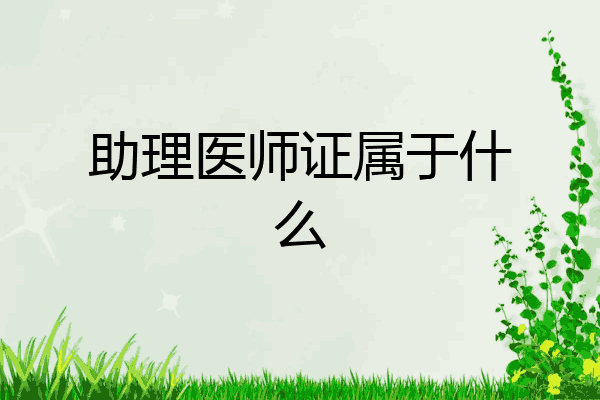 助理医师证属于什么