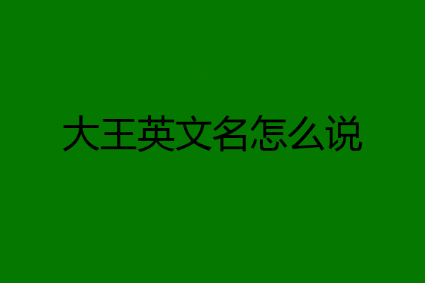 大王英文名怎么说