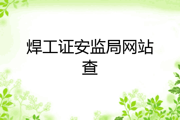 焊工证安监局网站查