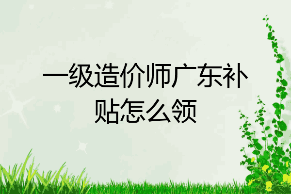 一级造价师广东补贴怎么领