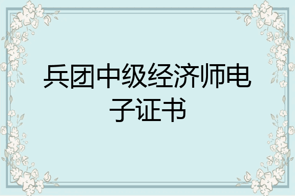 兵团中级经济师电子证书