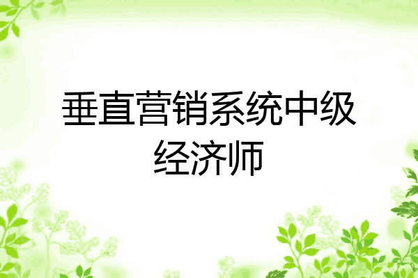 垂直营销系统中级经济师