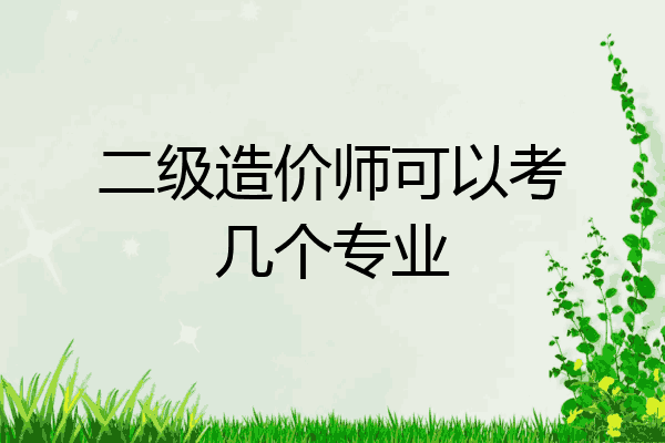 二级造价师可以考几个专业