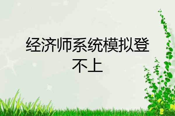 经济师系统模拟登不上