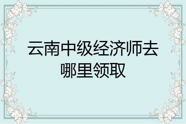 云南中级经济师去哪里领取