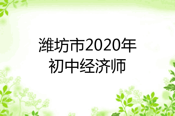 潍坊市2020年初中经济师