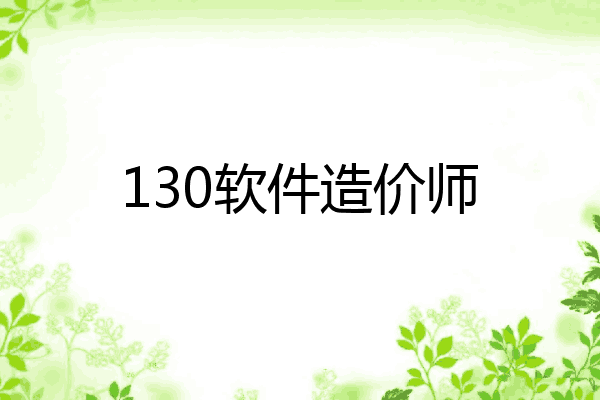 130软件造价师