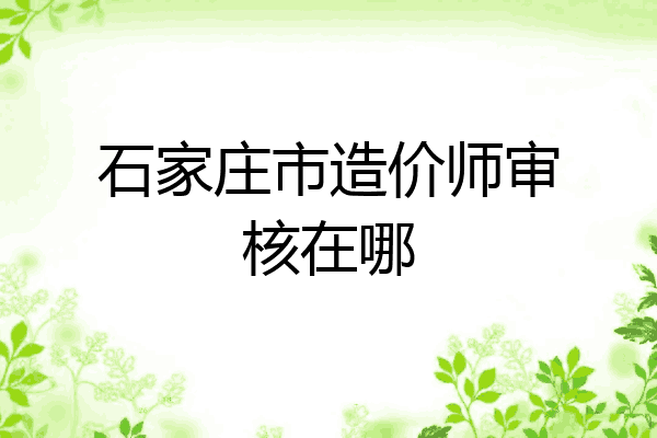 石家庄市造价师审核在哪