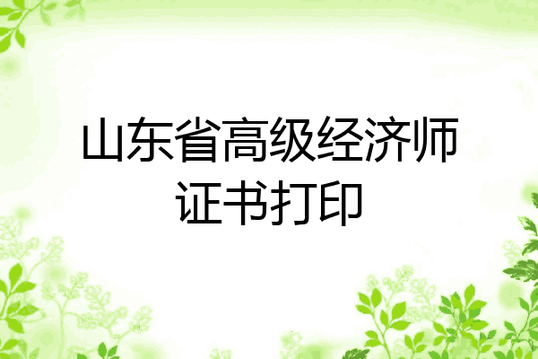 山东省高级经济师证书打印