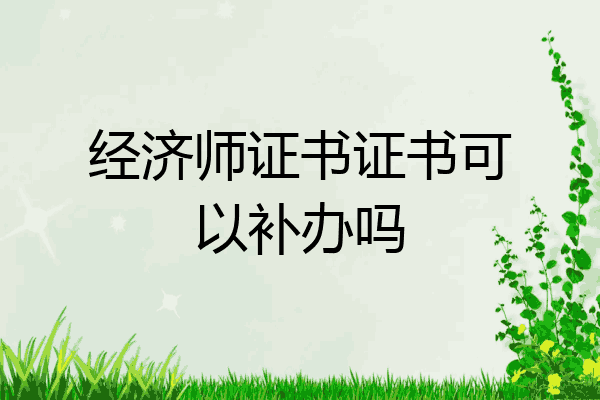经济师证书证书可以补办吗