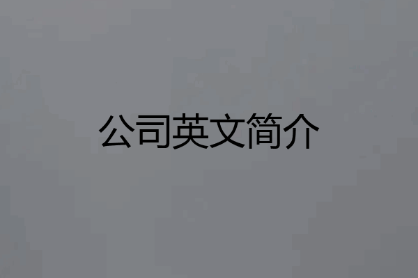 公司英文简介