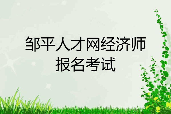 邹平人才网经济师报名考试