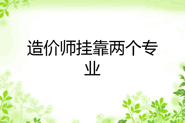 造价师挂靠两个专业