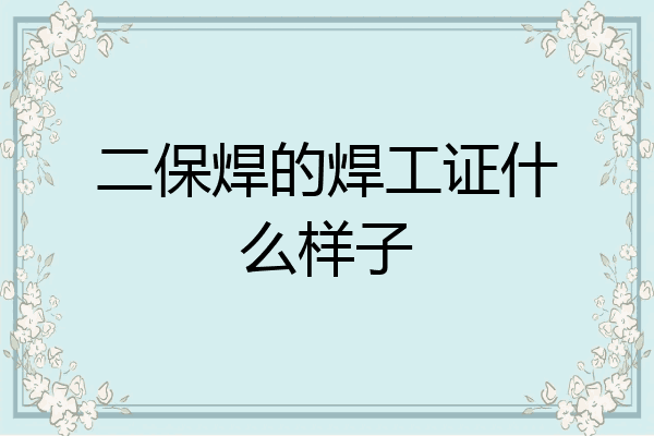 二保焊的焊工证什么样子