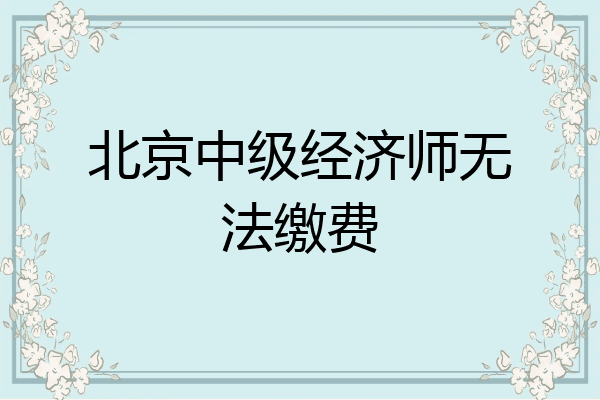 北京中级经济师无法缴费