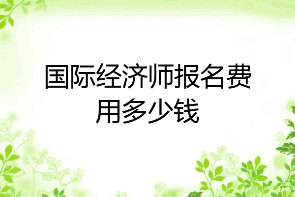 国际经济师报名费用多少钱