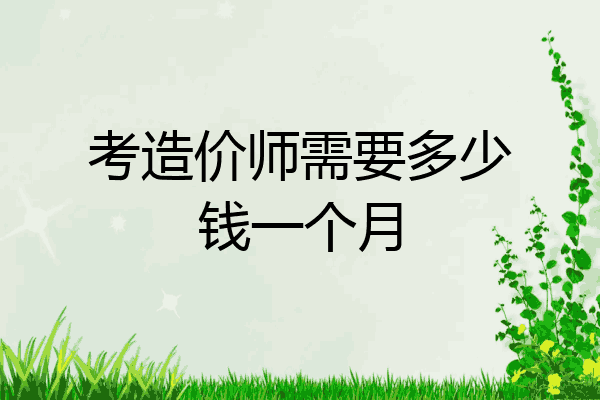 考造价师需要多少钱一个月