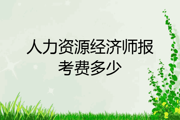 人力资源经济师报考费多少