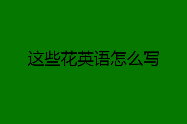 这些花英语怎么写