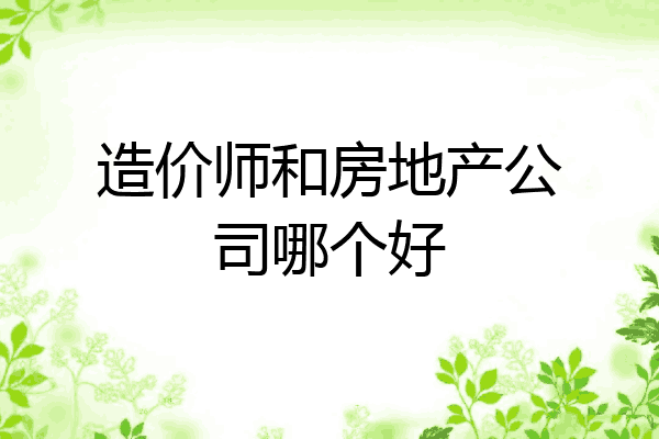 造价师和房地产公司哪个好