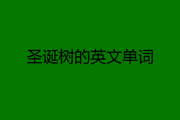 圣诞树的英文单词