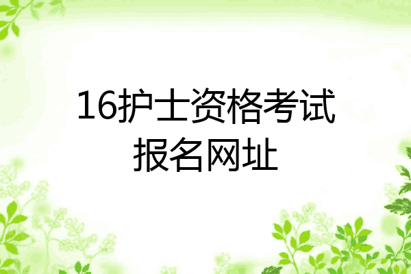 16护士资格考试报名网址