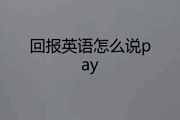 回报英语怎么说pay
