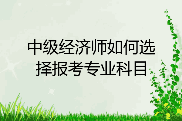 中级经济师如何选择报考专业科目