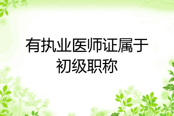 有执业医师证属于初级职称