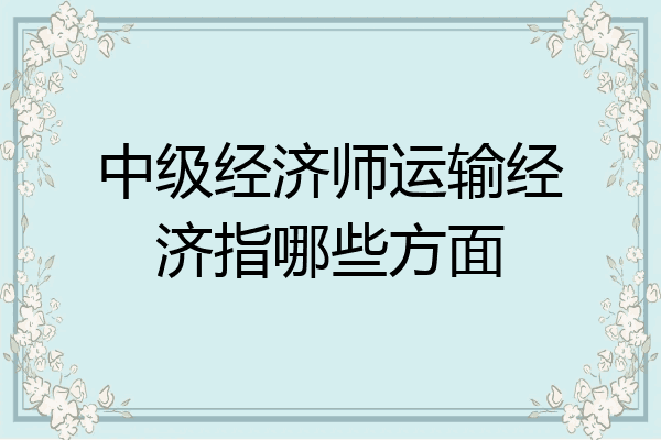 中级经济师运输经济指哪些方面