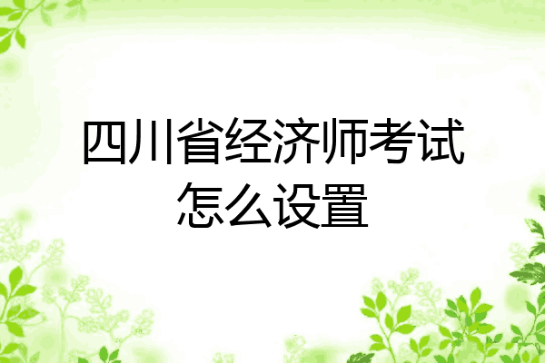 四川省经济师考试怎么设置