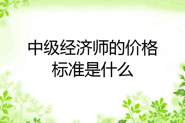 中级经济师的价格标准是什么