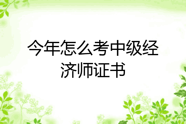 今年怎么考中级经济师证书