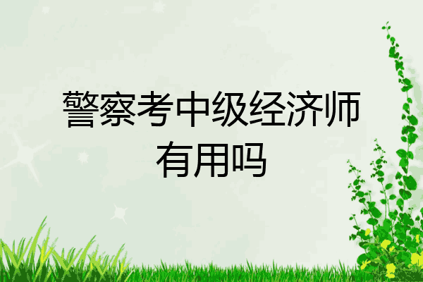 警察考中级经济师有用吗