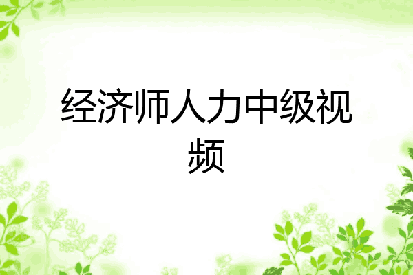 经济师人力中级视频