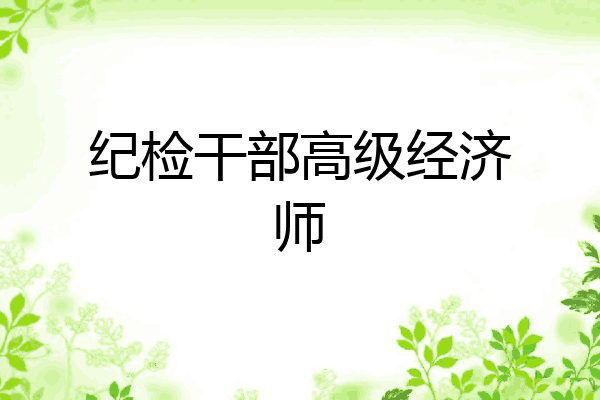 纪检干部高级经济师