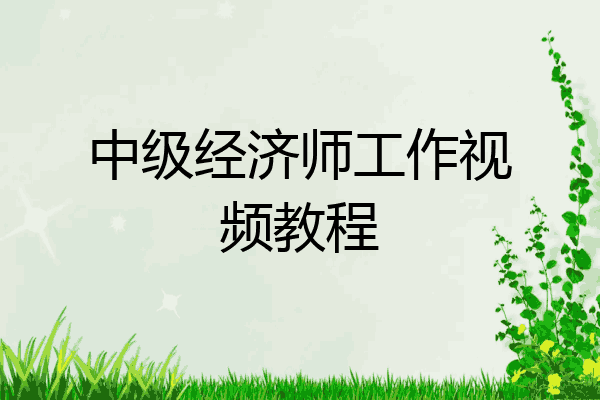 中级经济师工作视频教程