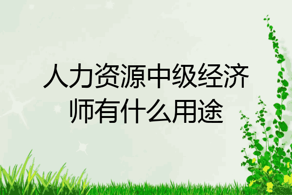 人力资源中级经济师有什么用途