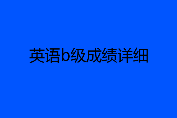 英语b级成绩详细