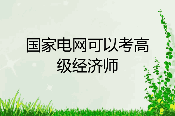 国家电网可以考高级经济师