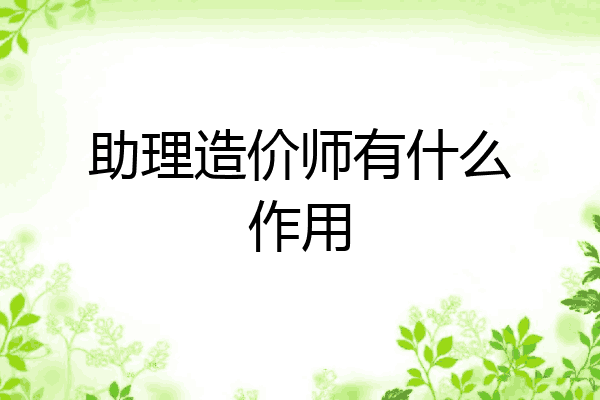 助理造价师有什么作用