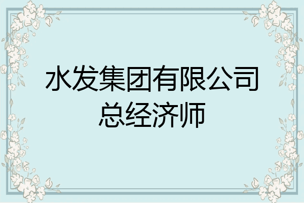 水发集团有限公司总经济师