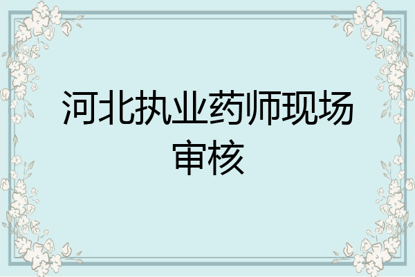 河北执业药师现场审核