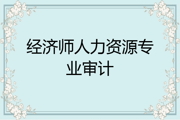 经济师人力资源专业审计