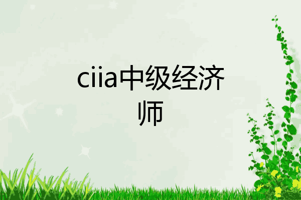 ciia中级经济师