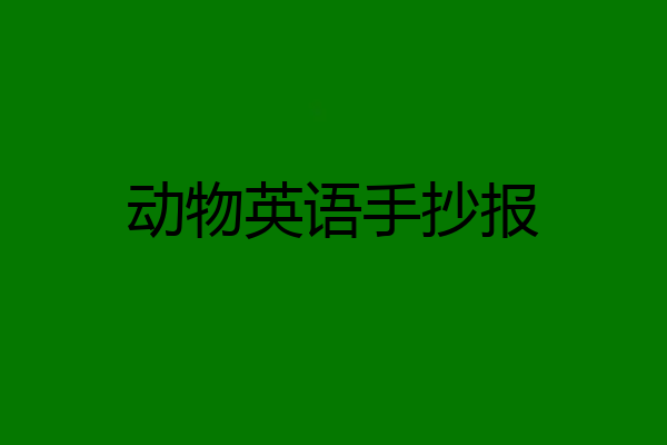 动物英语手抄报