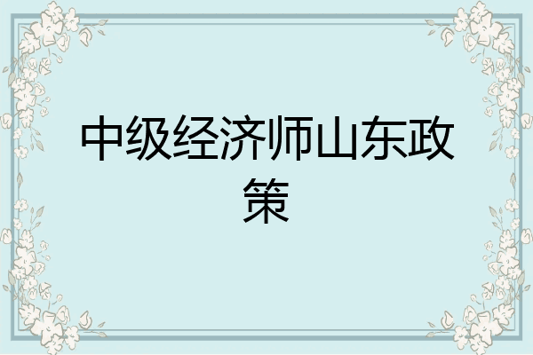 中级经济师山东政策