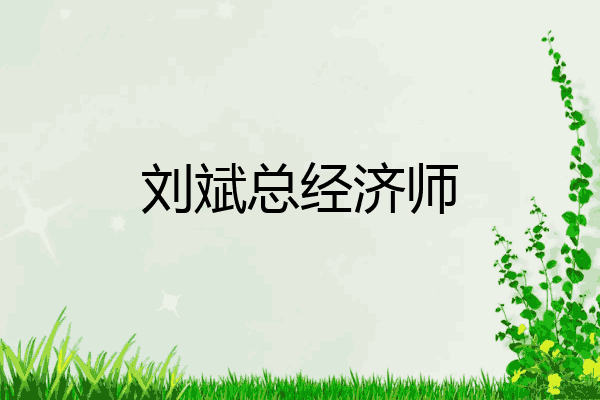 刘斌总经济师