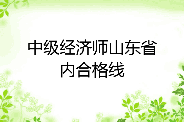 中级经济师山东省内合格线
